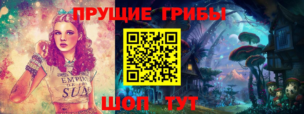 Псилоцибиновые грибы GOLDEN TEACHER Электрогорск