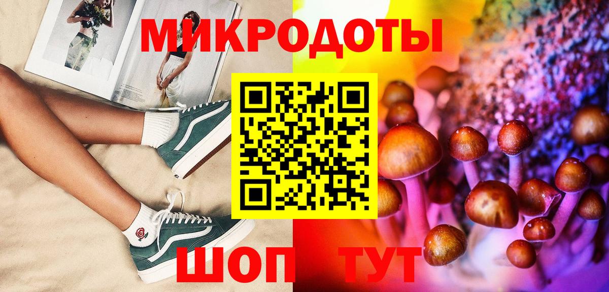 Электрогорск  Псилоцибиновые грибы мухоморы  Вход с VPN  Псилоцибиновые грибы GOLDEN TEACHER 